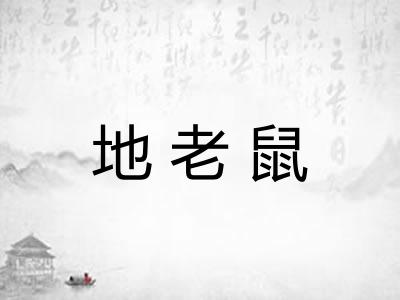 地老鼠