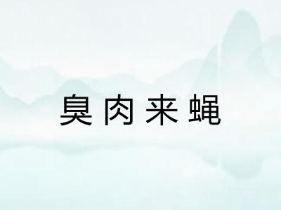 臭肉来蝇