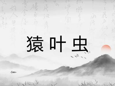 猿叶虫