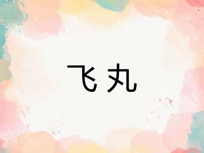 飞丸