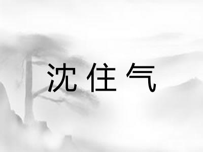 沈住气