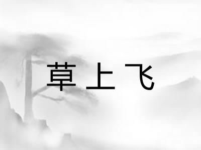 草上飞