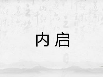 内启