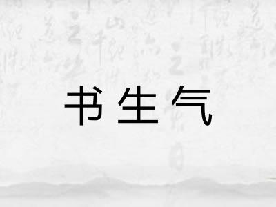书生气