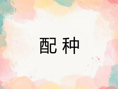 配种