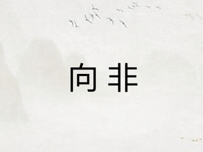 向非