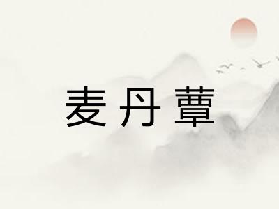 麦丹蕈