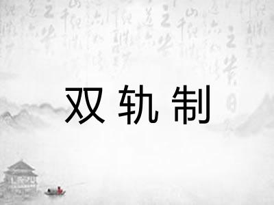 双轨制