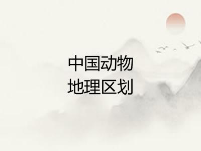 中国动物地理区划