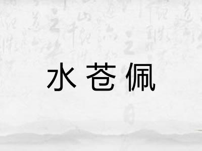水苍佩
