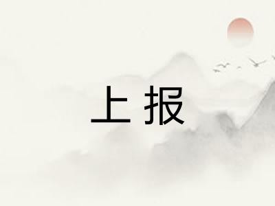 上报