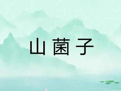 山菌子