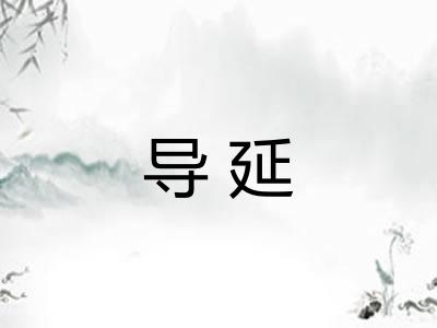 导延