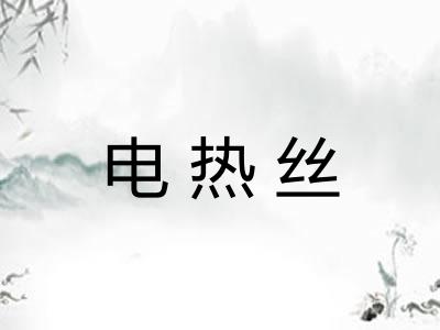 电热丝