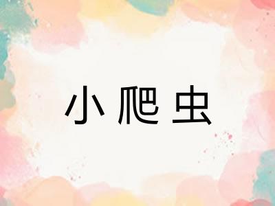 小爬虫
