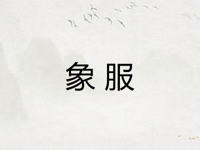 象服