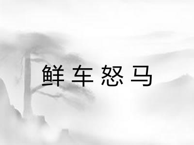 鲜车怒马