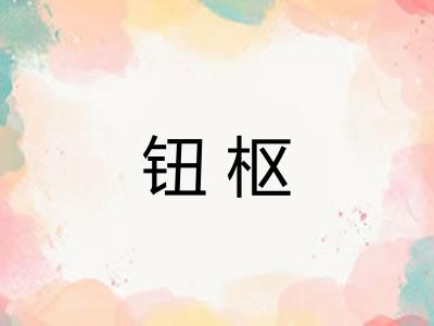 钮枢
