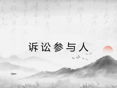 诉讼参与人