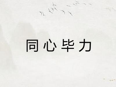 同心毕力