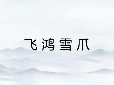 飞鸿雪爪