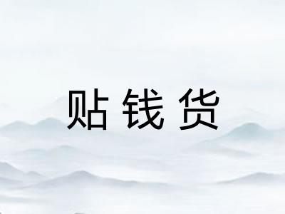 贴钱货