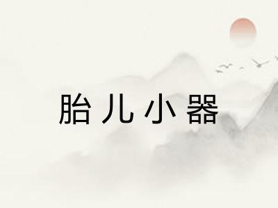 胎儿小器