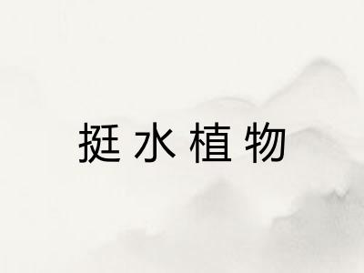 挺水植物