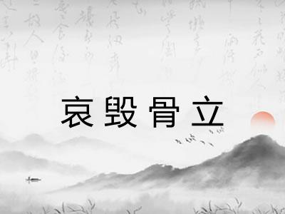 哀毁骨立
