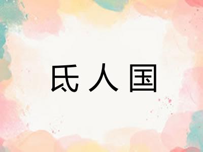 氐人国