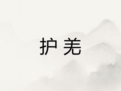 护羌