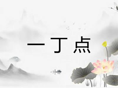 一丁点