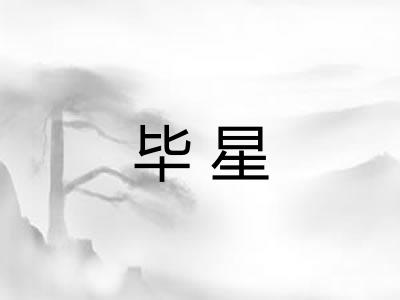 毕星