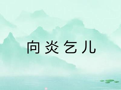 向炎乞儿