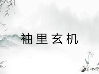 袖里玄机