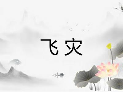 飞灾