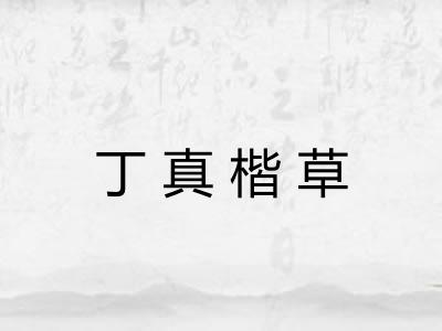 丁真楷草