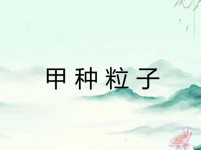 甲种粒子