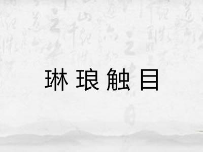 琳琅触目