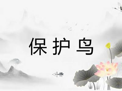 保护鸟