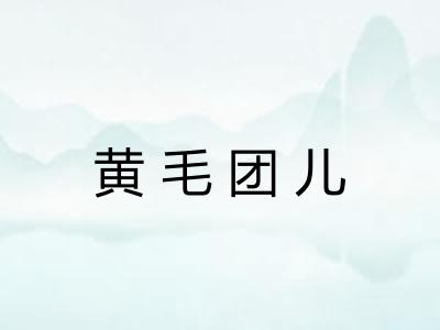 黄毛团儿