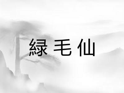 緑毛仙