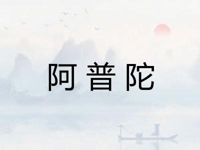 阿普陀