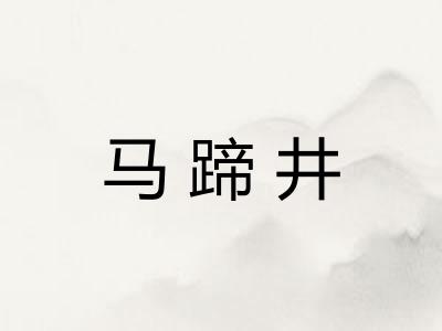 马蹄井