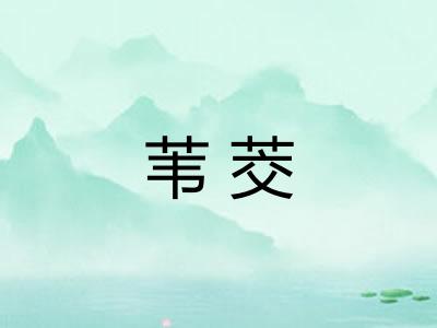 苇茭