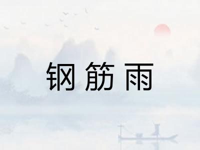 钢筋雨