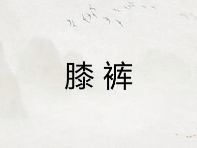 膝裤