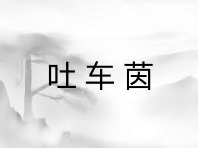 吐车茵