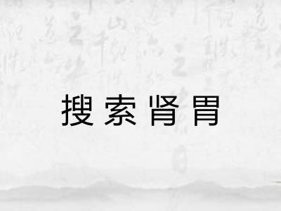 搜索肾胃