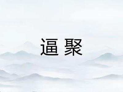 逼聚